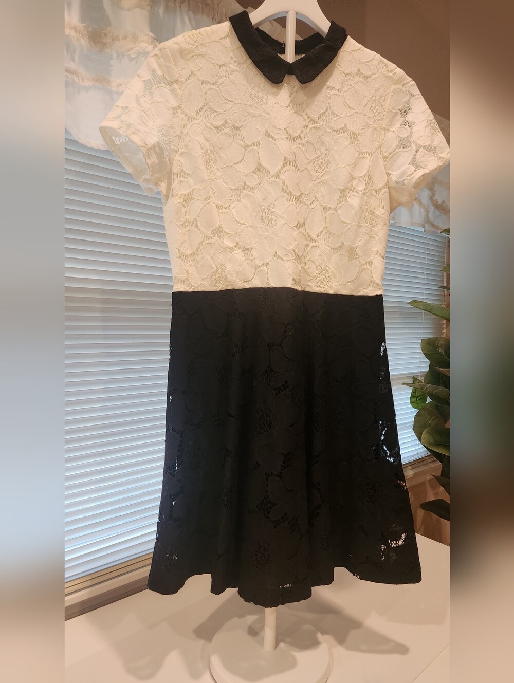 Maison Jules Two-Tone Lace Fit & Flare Dress - Cream & Black